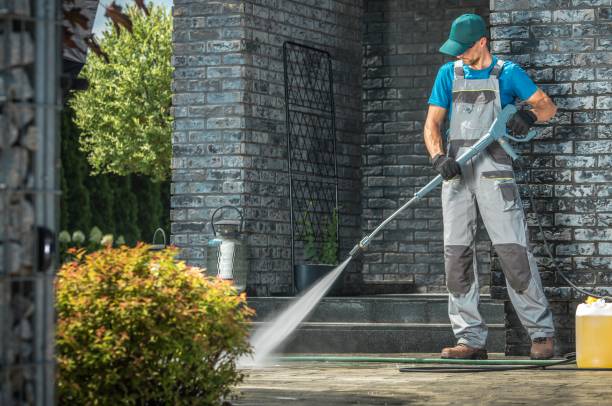 Best Sidewalk and Walkway Cleaning  in East Moline, IL